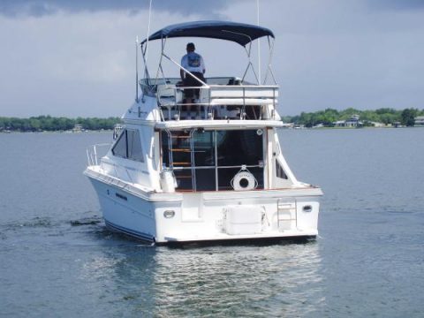 AMAZING 1988 Sea Ray 345 Sedan Bridge for sale
