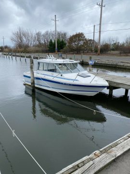 1987 Bayliner 210 21′ Cuddy Cabin for sale