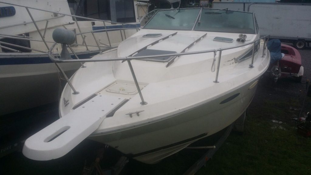 1986 Sea Ray Weekender 300