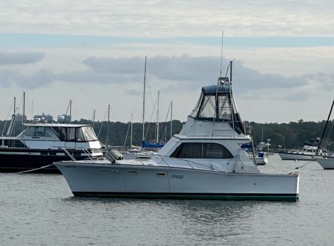 1976 Egg Harbor 33′ Sedan Fisherman – New York for sale