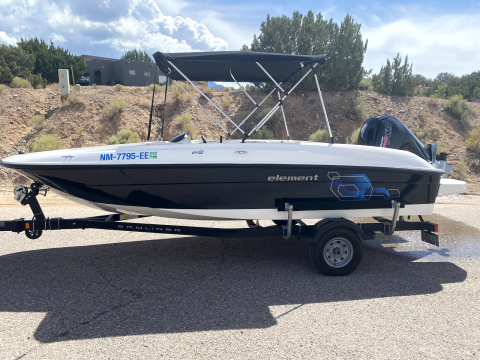 2019 Bayliner Element E18 for sale