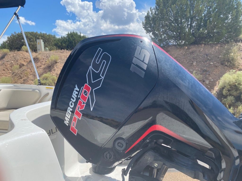 2019 Bayliner Element E18