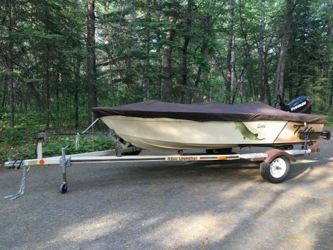 1985 Tuffy Resort 150 w/ 2014 25hp Evinrude E tec Approximately 10 Hours use. for sale